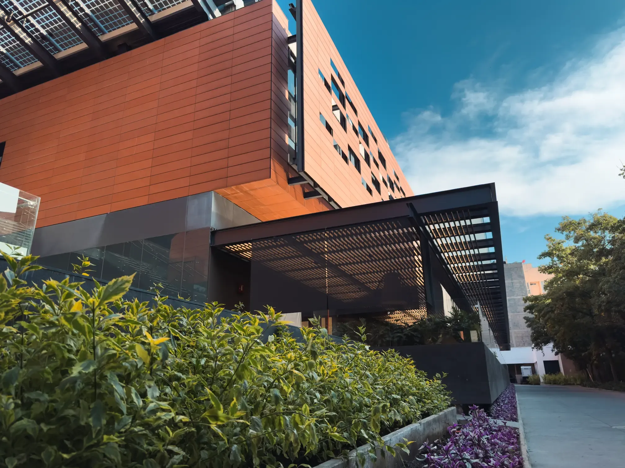 AltOlivo, arquitectura y áreas verdes 7 en Álvaro Obregón