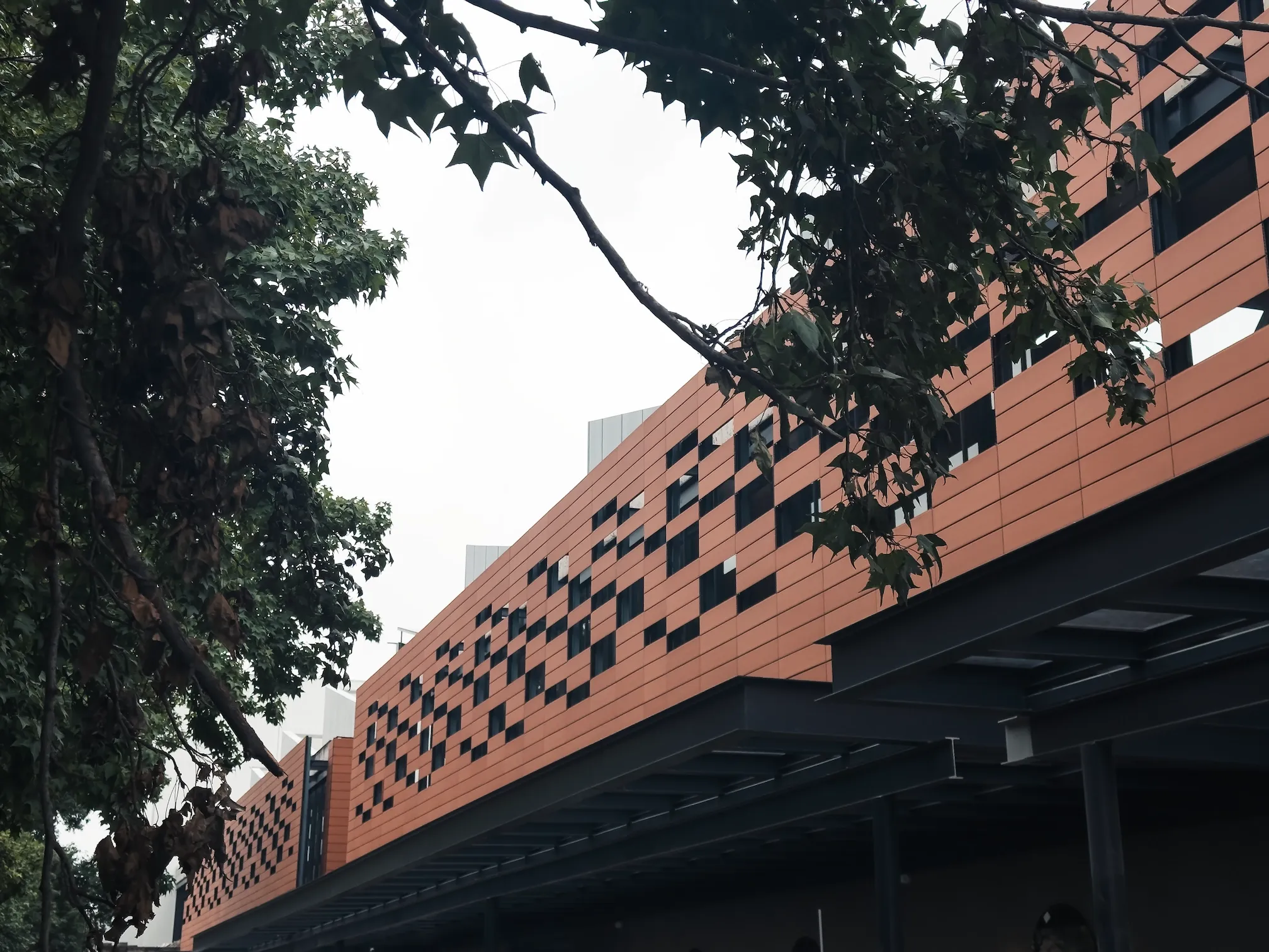 AltOlivo, arquitectura y áreas verdes 6 en Álvaro Obregón